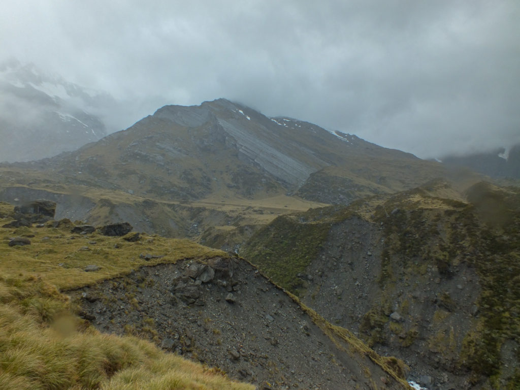 Mountain landscape, the upper Landsborough South Westland