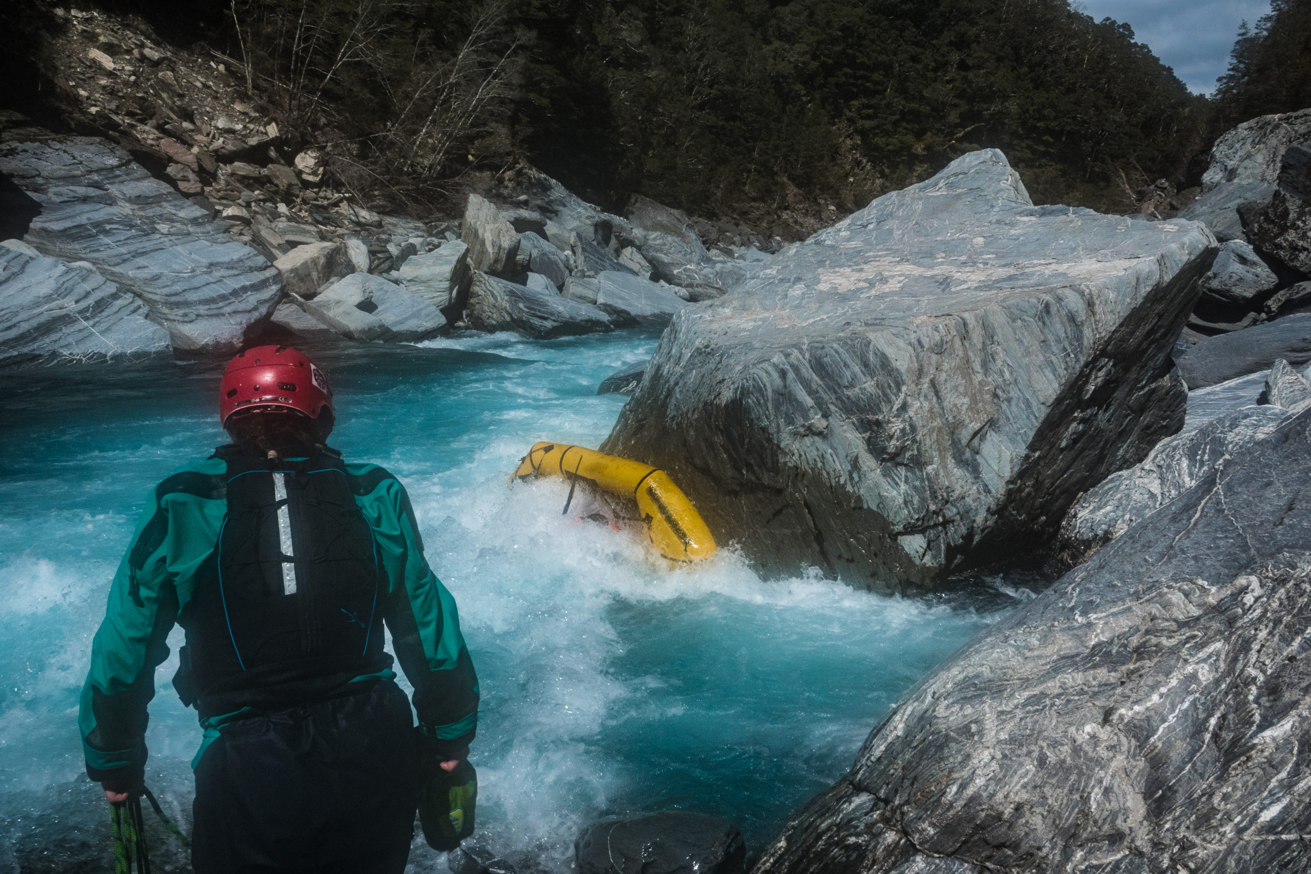 A South Westland Week